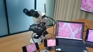 Olympus Binocular Microscope CX23 with Embedded Wifi Camera.