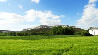 LA BUREBA