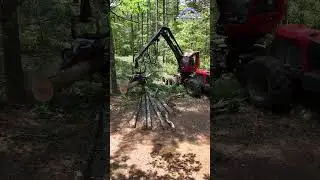 Komatsu 931 Harvester in Action | Power, Precision & Performance in the Forest!