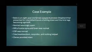 DCSR ZOOMIES: 10/18/25. CANINE MOVEMENT DISORDERS featuring Adam Moeser DVM, DACVIM