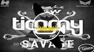 Timmy Trumpet W - W vs Borgore - Ratchet and Freak (Timmy Turner Edit)15K