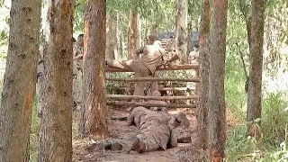 Divin&oacute;polis: Soldados fazem treinamento pr&aacute;tico
