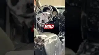 How does mold happen?  #mobiledetailer #fulldetails #interiordetails #moldremoval #mold