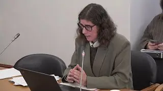 18-12-2024 | Comissão de Cultura, Comunicação, Juventude e Desporto | Mara Lagriminha