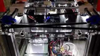 mini-COG Timelapse_01