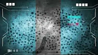 Life Under MicroScope