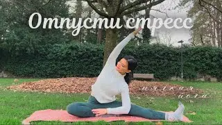 МЯГКАЯ йога для РАССЛАБЛЕНИЯ и ГАРМОНИИ 🌿РАСТЯЖКА и ДЫХАНИЕ для начинающих