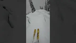 Chaotic line for sure #ski #skiing