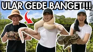 SEREM BANGET!!! - ULAR BESAR INI BISA APA??!? (BFC Mini Farm Bintaro)