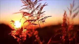 John Lawton's Gunhill - The Sun Ain't Gonna Shine Anymore