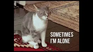 The Kiffness x Lonely Cat - Sometimes I'm Alone [karaoke]