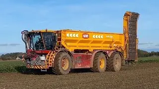 R&uuml;benernte.Vredo-Hawe RUW 4500,Grimme Rexor 6300