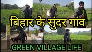 Bihar Village Vlog || बिहार के गाँव की यात्रा || Bihar Village Common Life || Green Village Life
