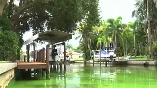 Lawn care fertilizer changes can help Florida's water