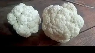 Phool gobhi Ka Bharta llmonika ki duniya