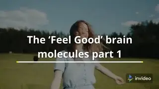 The &lsquo;Feel Good&rsquo; brain molecules - part 1 #shorts