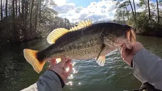 Can I win my first BASS TOURNAMENT of 2026?