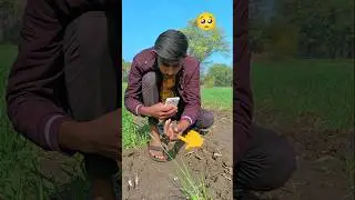 #amazing🌱🌿 #amazingvedios #farming #youtubeshorts #trendingshorts#farmingreels #shorts #ytshorts