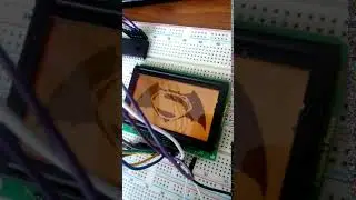 LCD 12864 МЭЛТ + Atmega 16