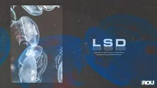 LSD // p. cryptic