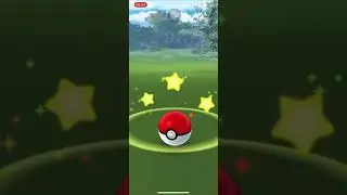 SHINX COMMUNITY DAY TIPS & TRICKS | POKEMON GO