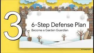 Winter Tree Damage Prevention Tips for Homeowners in Dallas GA