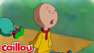 Luz Estelar, Estrela Brilhante | Caillou Português - WildBrain | Aprendizagem para crianças