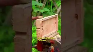 DIY Wooden Phone Cover! #viral #woodworking#shorts
