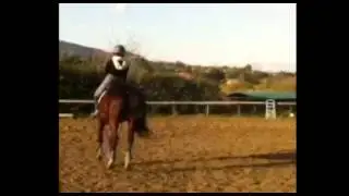 video irene maneggio