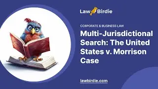 Multi-Jurisdictional Search: The United States v. Morrison Case - Essay Example