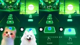 Tiles hop EDM Rush   Dreaming cat vs White dog on Ball Games channel