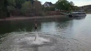 Flyboard 09 2022