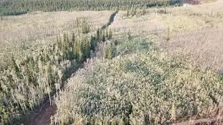 Specialized Drone Fireline Video: Watch This Aerial Footage of Protected Allotment near Chalkyitsik