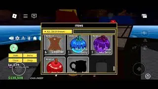 rip_indra what are these berry,s I found in magma village?