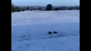 It's Snow Time.. WillDog 2012  Takeshi's castle  Rice Bowl Down Hill