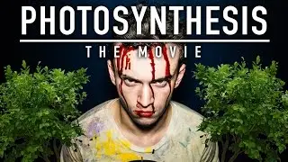 Photosynthesis: The Movie