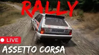 🔴 LIVE -  ASSETTO CORSA RALLY!!!! - Please be good.