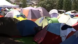 Climate activists blockade Port of Newcastle at annual event