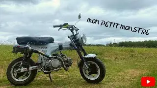 JE VOUS PRÉSENTE MON DAX EN 2020 !!