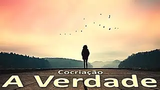 Cocriação a VERDADE!