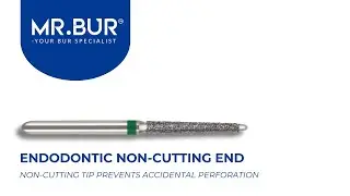 ISO 851 Non-Cutting End Endodontic Series Diamond Bur FG | MR.BUR