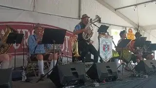 Austin Polka Band, 