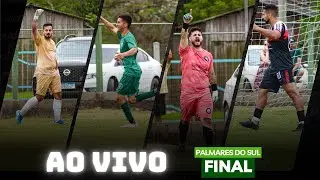 AO VIVO | SAPOLÂNDIA X MERCENÁRIOS | FINAL PALMARES DO SUL