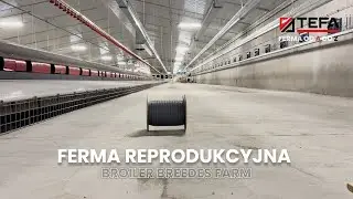 FERMA REPRODUKCYJNA – Podsumowanie Realizacji | TEFA