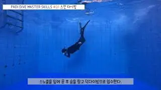 PADI DM + IDC 24SKILL (new ver.) 스킨다이빙