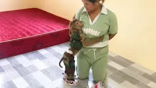 Little Jason Humble Hugged To Stop Mom Practice Salute