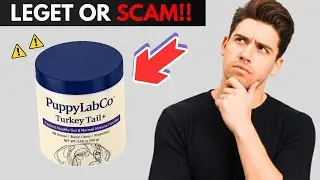 Puppy Lab Co Turkey Tail Review 2026 &mdash; Legit Dog Supplement or Scam?