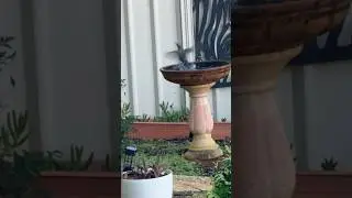 Why Everyone's Moving to Australia After Seeing This 