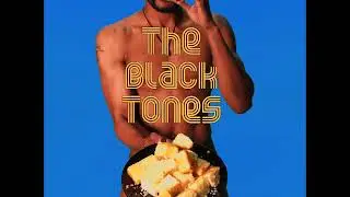 The Black Tones- Welcome Mr.Pink