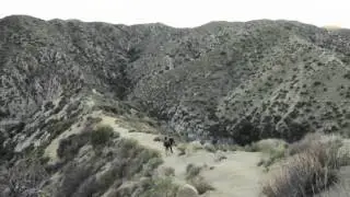 Bowen Ranch Hike